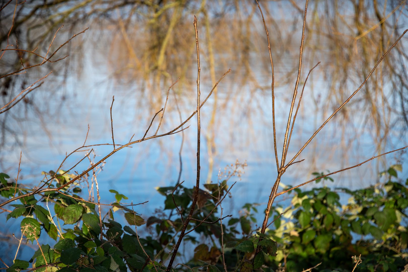 Unterbacher See im Winter 