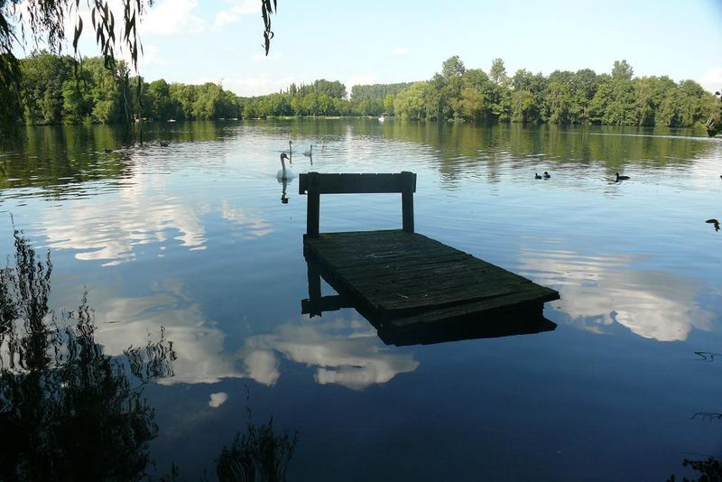 Unterbacher See in Düsseldorf (3)