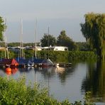 Unterbacher See in Düsseldorf (5)