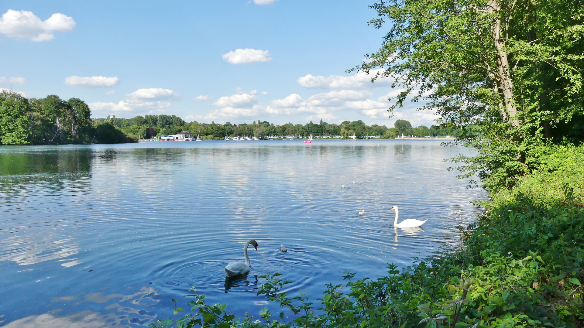 Unterbacher See in Düsseldorf