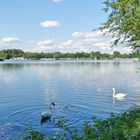 Unterbacher See in Düsseldorf