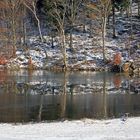 Unterbrochene Spieglung in Eis und fließendem  Wasser...