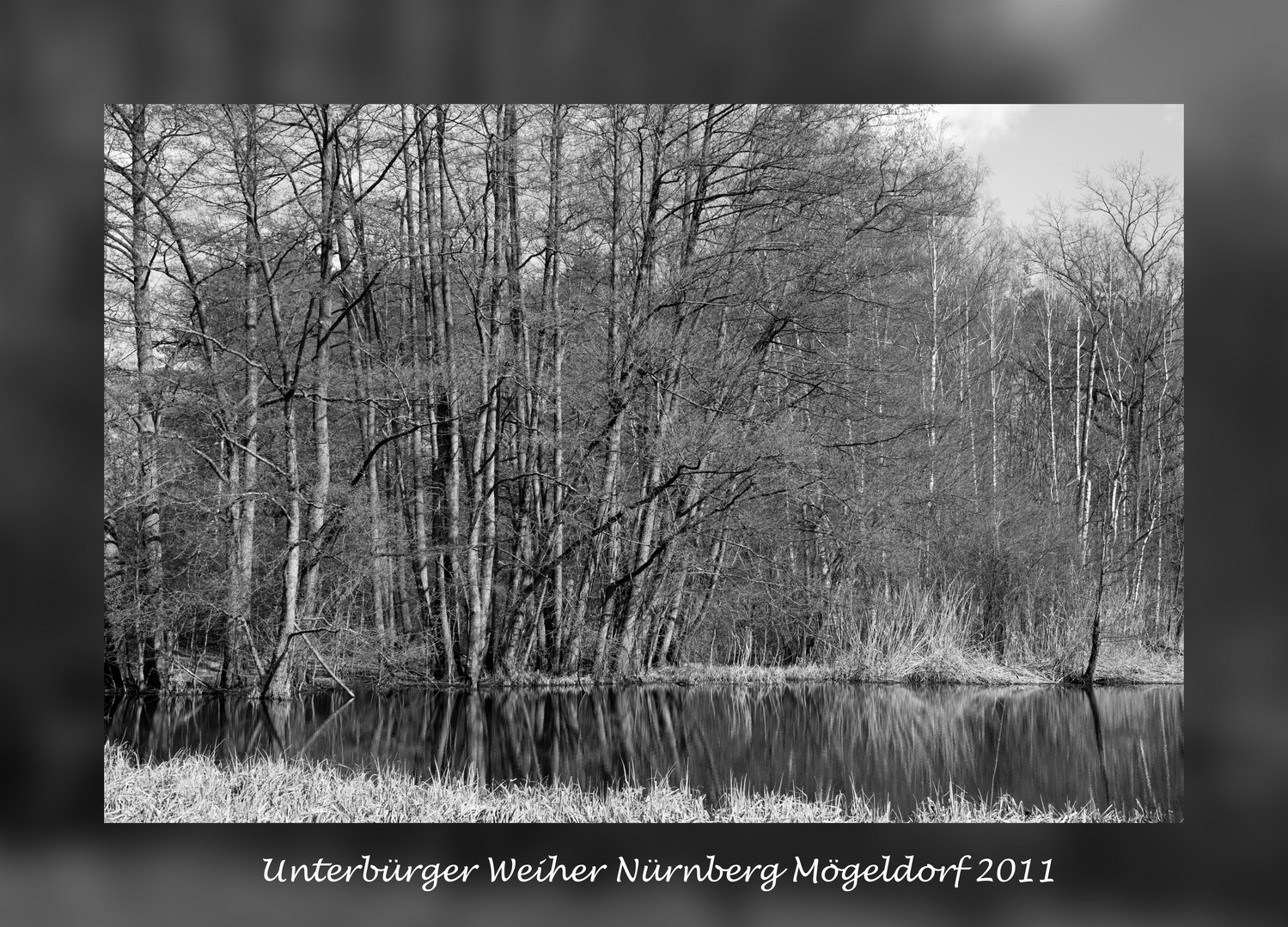 Unterbürger Weiher Nürnberg Mögeldorf