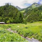 Untere Brüggele-Alpe 2021-06-27 Panorama 01