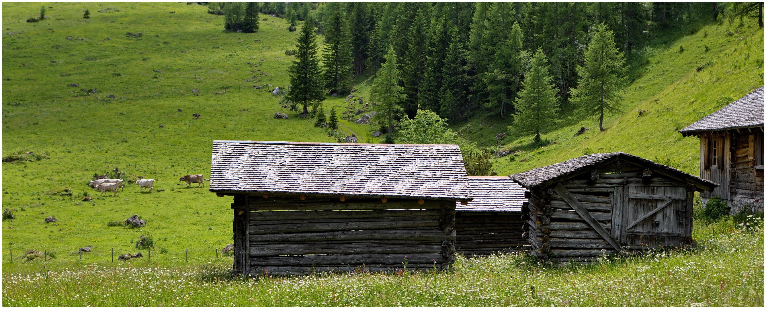 Untere Brüggele-Alpe 2021-06-27 Panorama 02