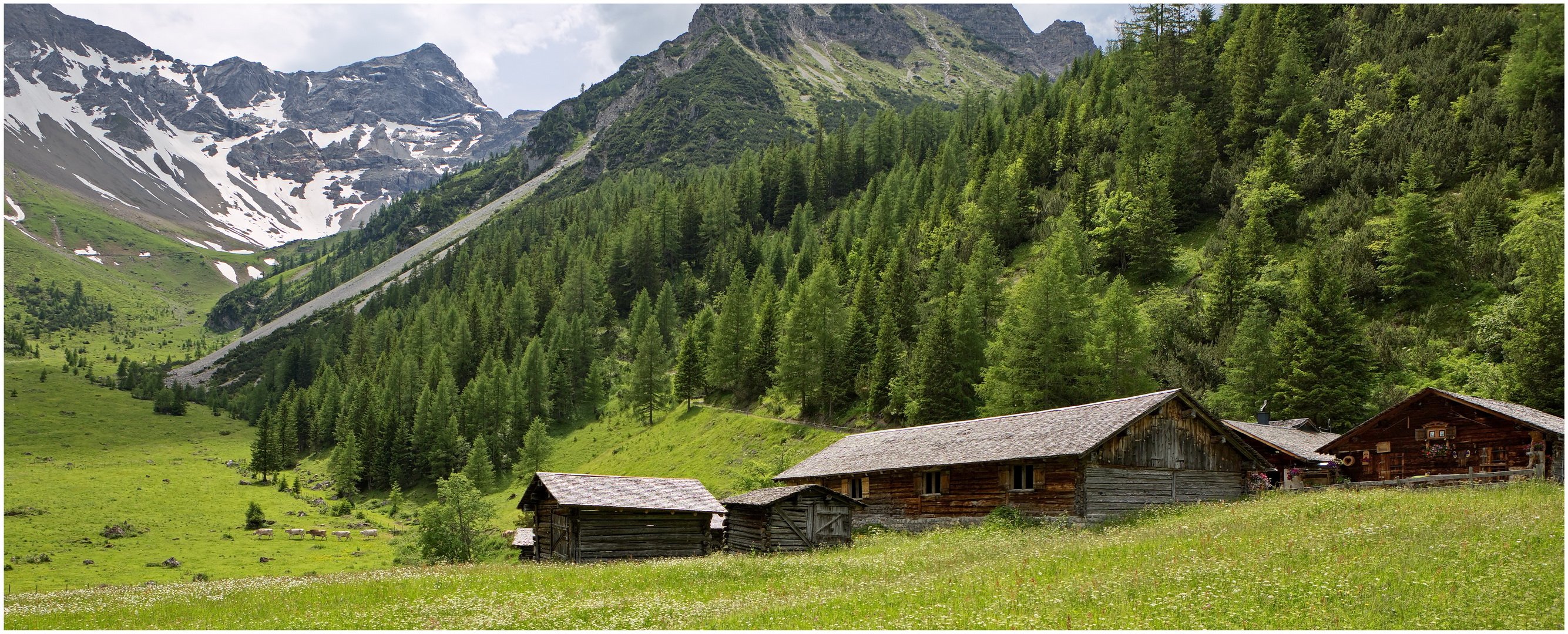 Untere Brüggele-Alpe 2021-06-27 Panorama 03