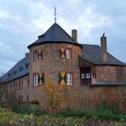 Untere Burg Antweiler, Gemeinde Mechernich/Nordeifel