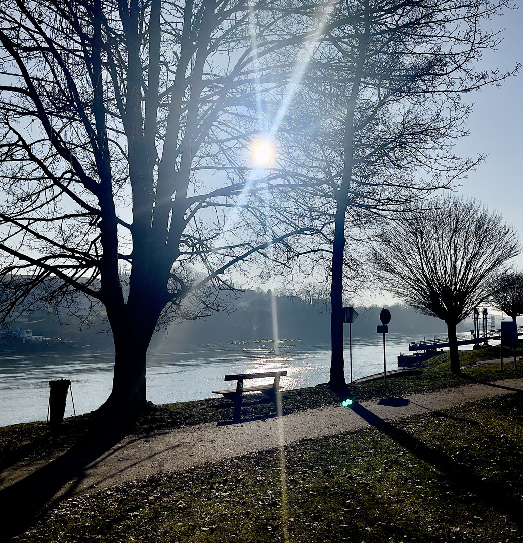 untere Donaulände in Ottensheim an der Donau