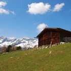 Untere Kofleralm im Tauferer Reintal