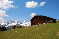 Untere Kofleralm im Tauferer Reintal