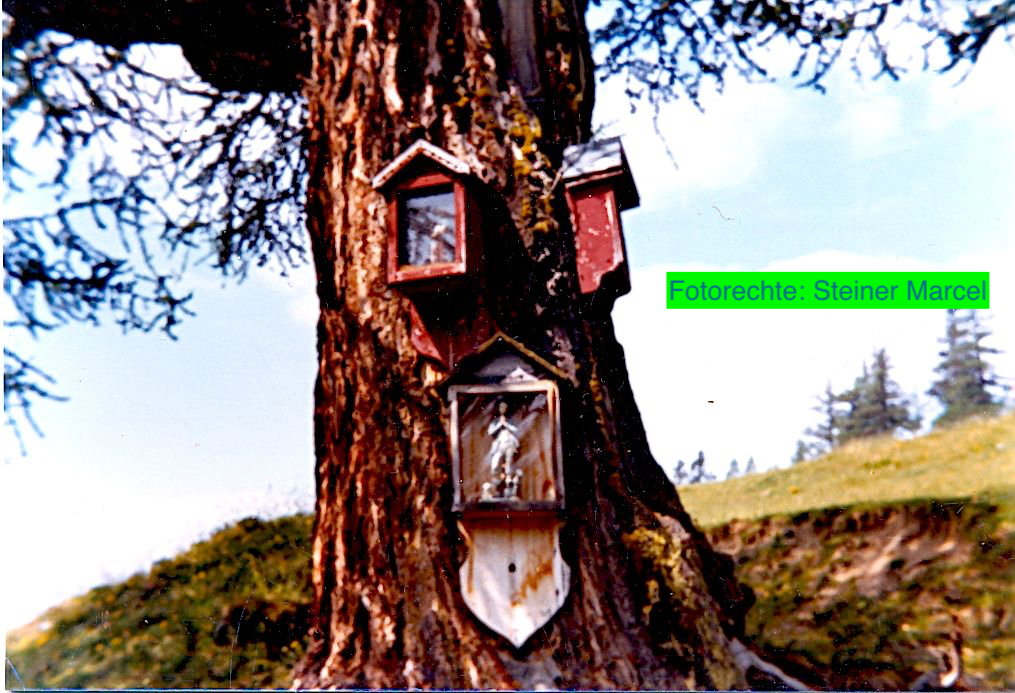 unterer Kreuzbaum 1999