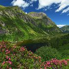 Unterer Murgsee