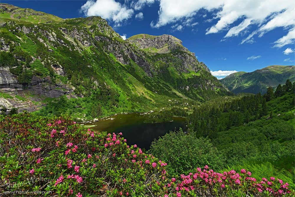 Unterer Murgsee