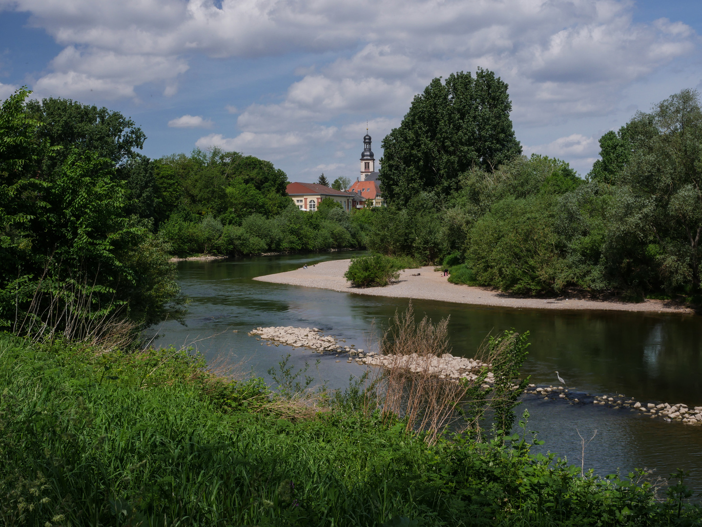 Unterer Neckarlauf bei MannheimSeckenheim Foto & Bild natur