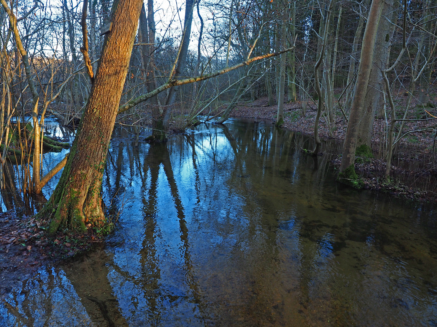 Unterer Schierenseebach am kleinen Schierensee