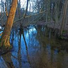 Unterer Schierenseebach am kleinen Schierensee