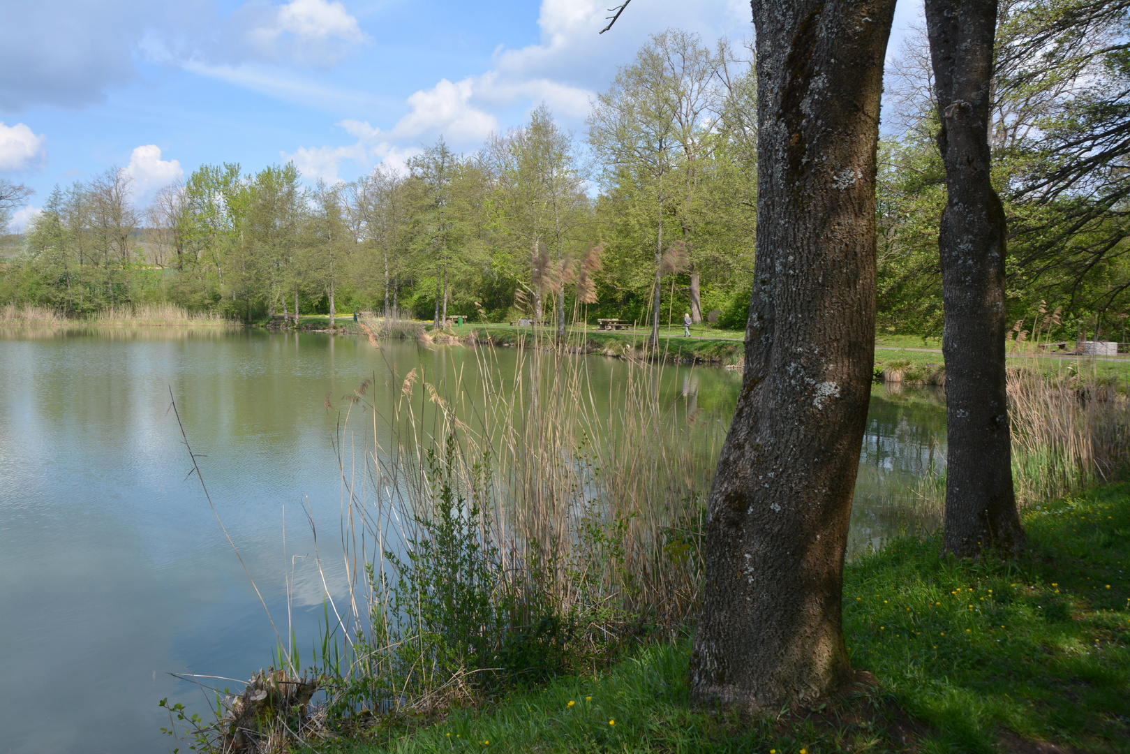 Unterer Seewaldsee