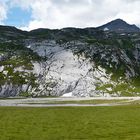 Unterer Segnesboden oberhalb von Flims