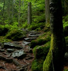 Unterer Weg durchs Riesloch