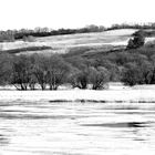 Unteres Odertal im tiefen Winter