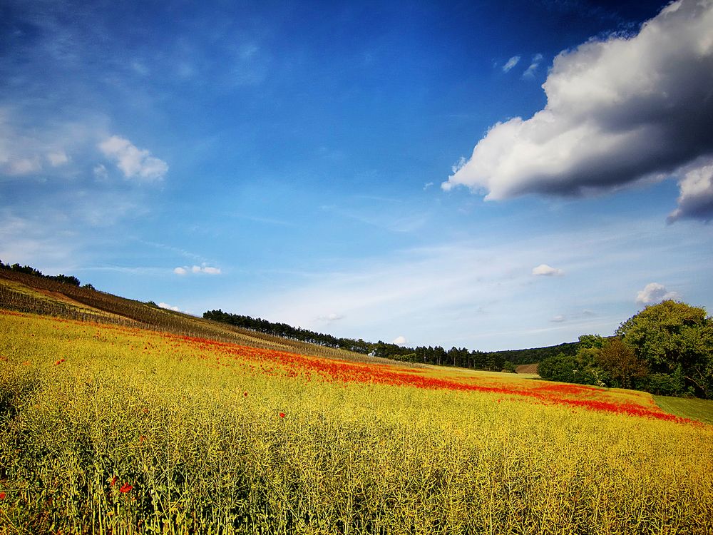 Unterfranken... von Durdica 