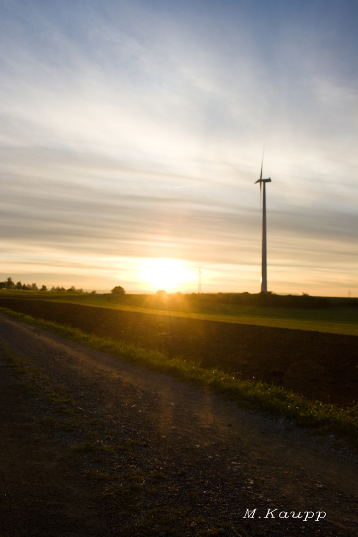 Untergang am Windrad