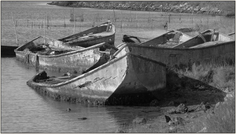 Untergang der römischen Flotte