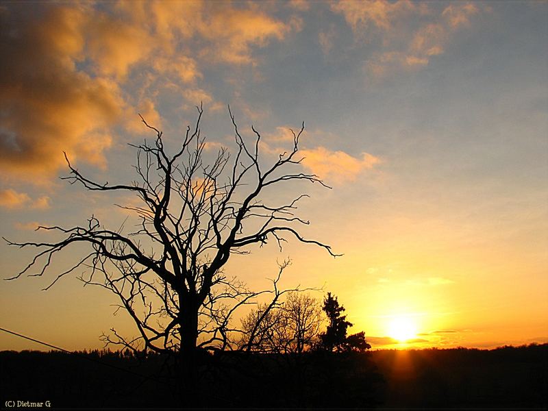 Untergang im Dezember