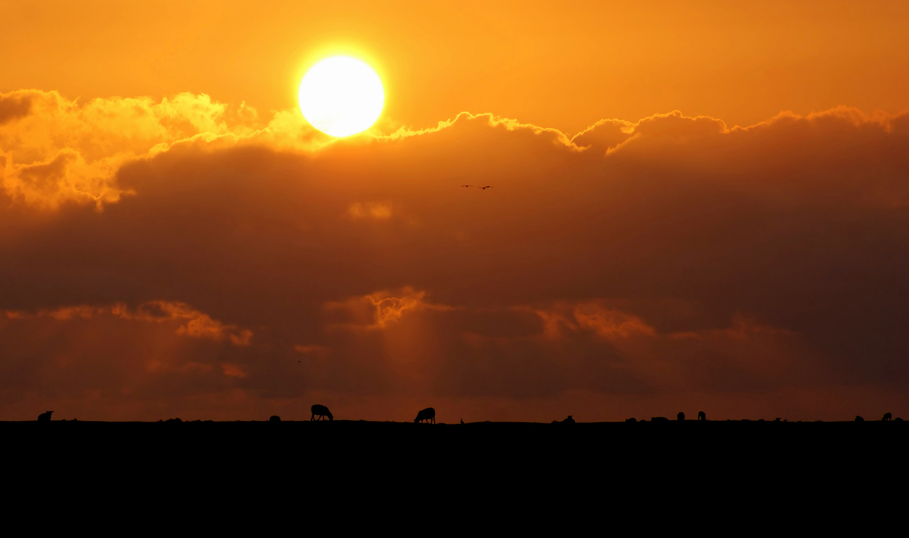 Untergang in Nordfriesland