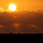 Untergang in Nordfriesland