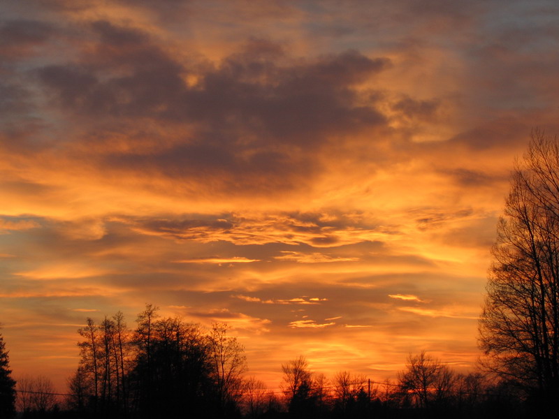 Untergang ins licht