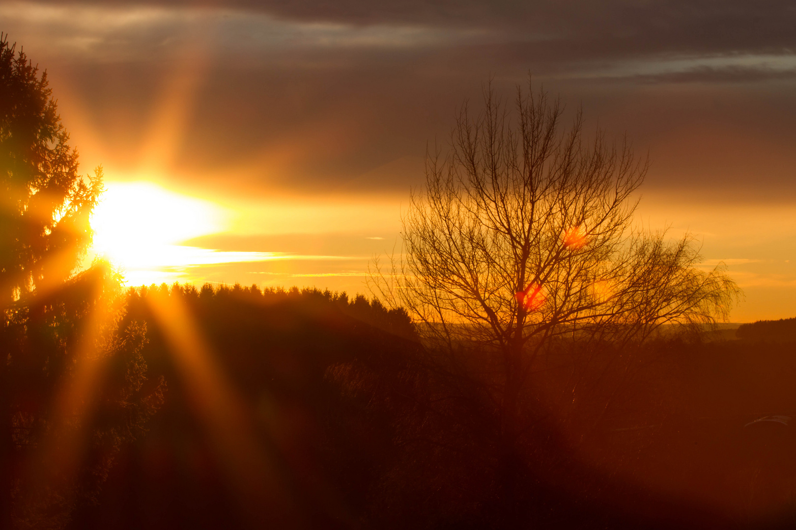 Untergehende Herbstsonne