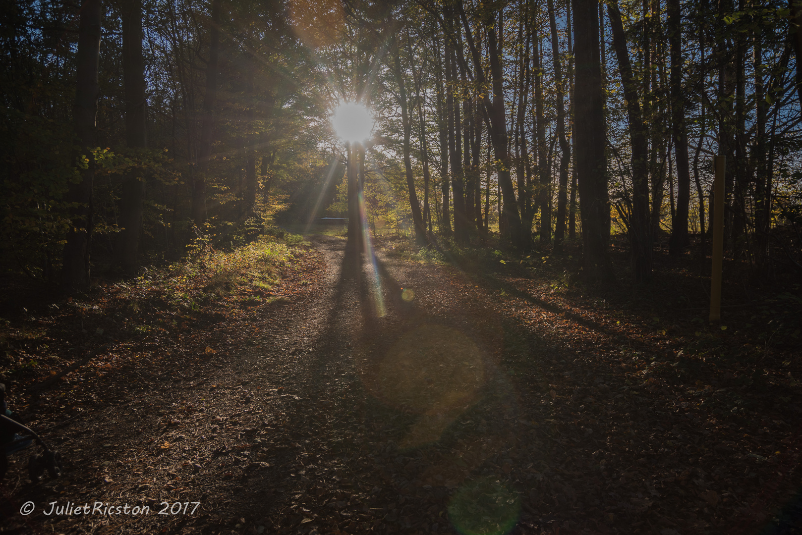 Untergehende Sonne 