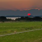 Untergehende Sonne an der Elbe bei Kollmar