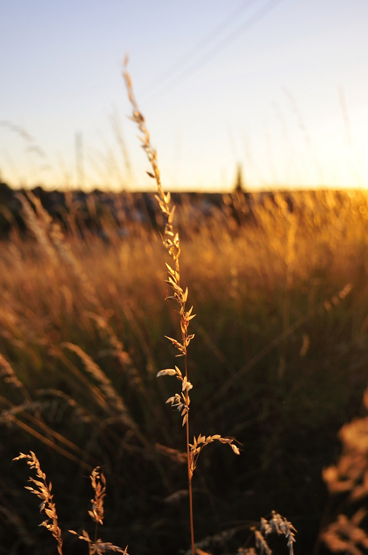 Untergehende Sonne