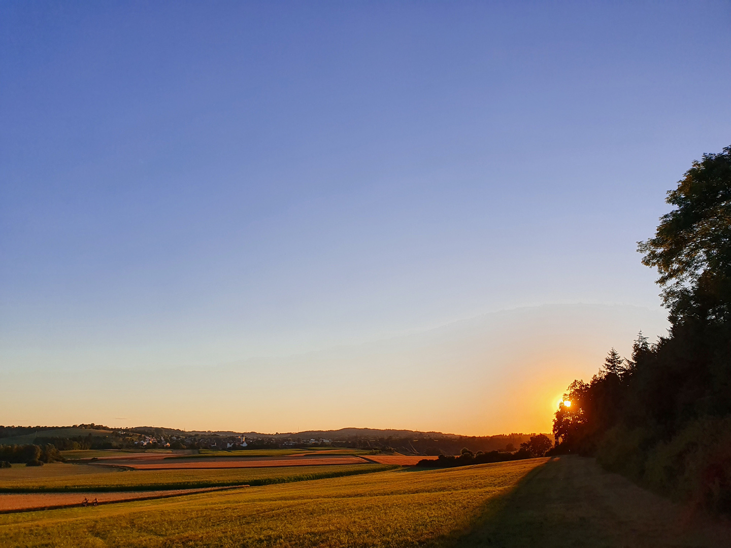 Untergehende Sonne hinter'm Busch über Weilheim