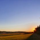 Untergehende Sonne hinter'm Busch über Weilheim