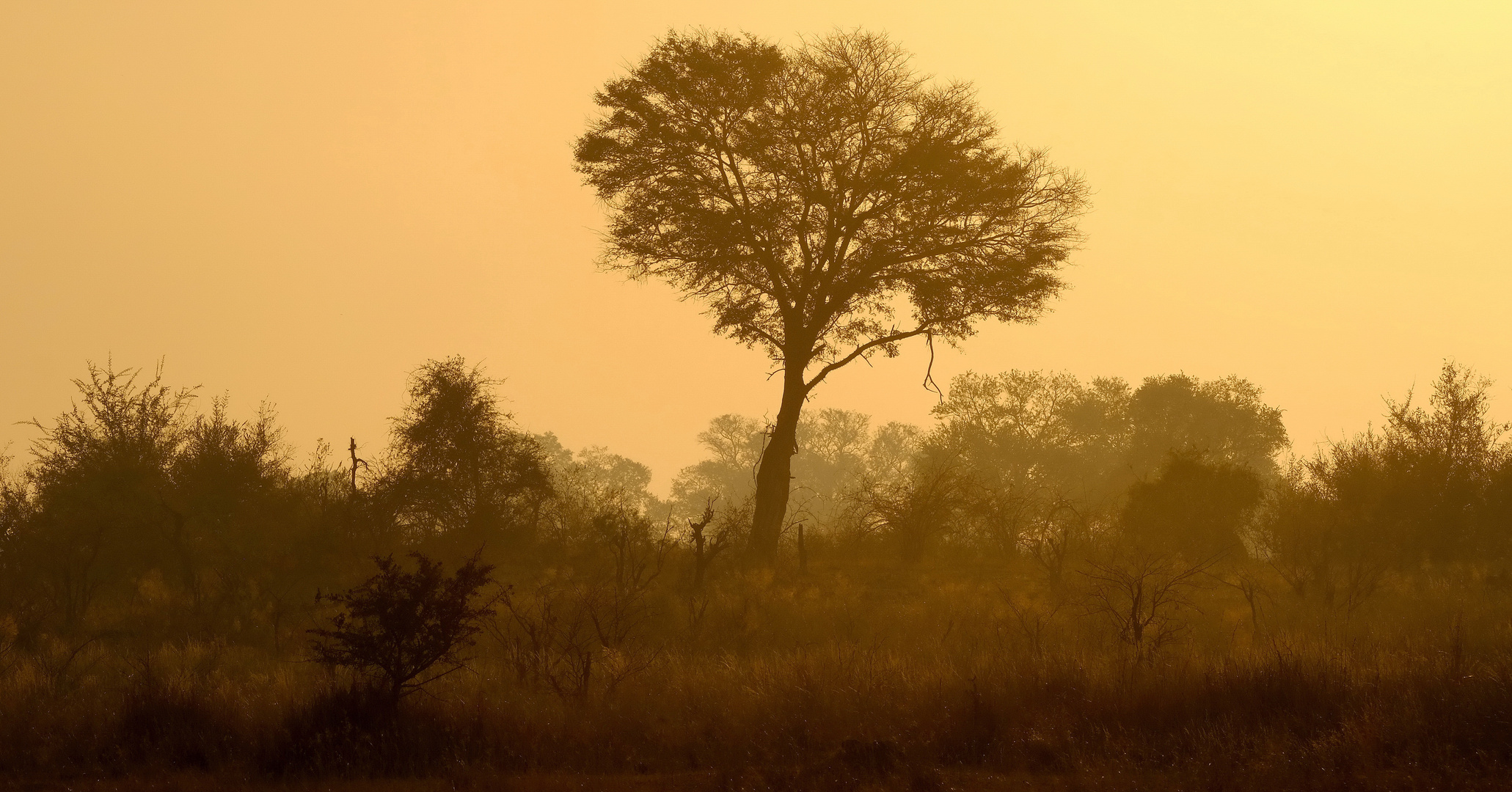 Untergehende Sonne im Caprivi-Strip 