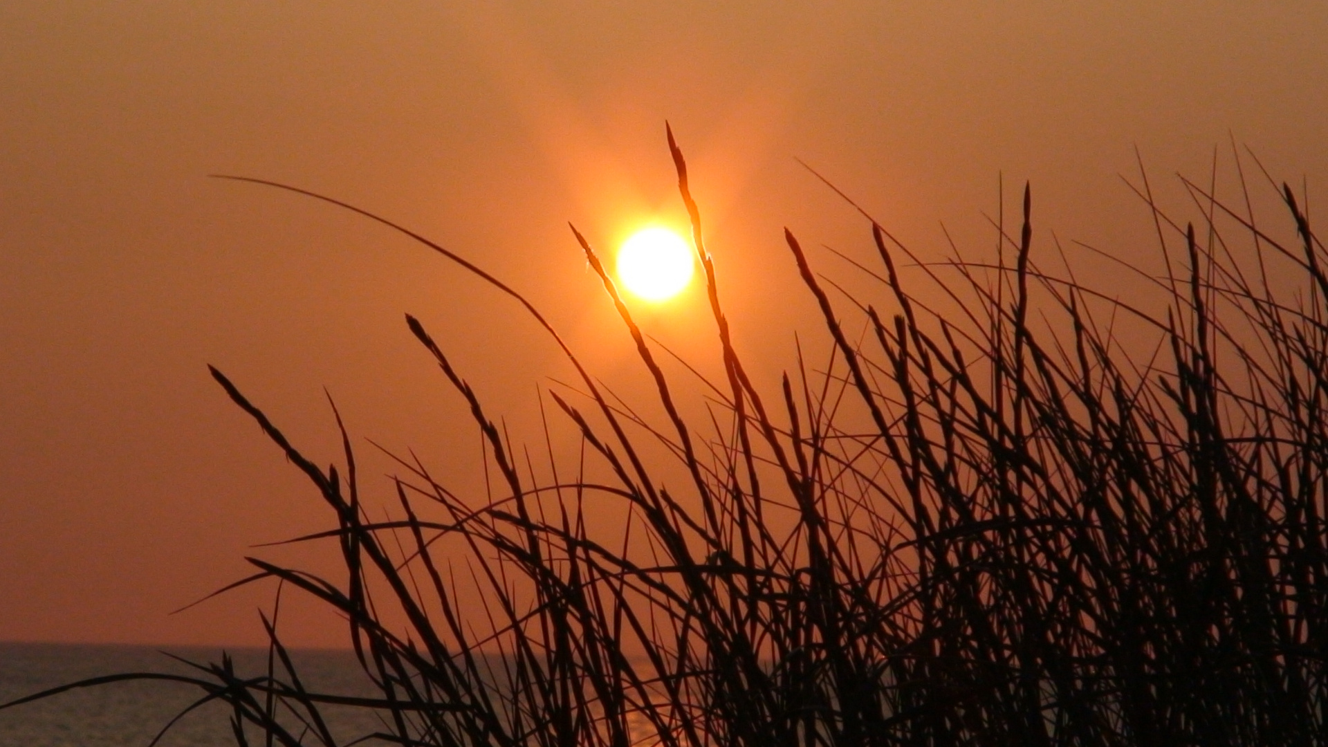 Untergehende Sonne in Zeeland