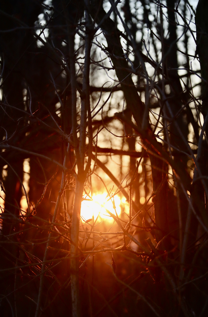 Untergehende Wintersonne 