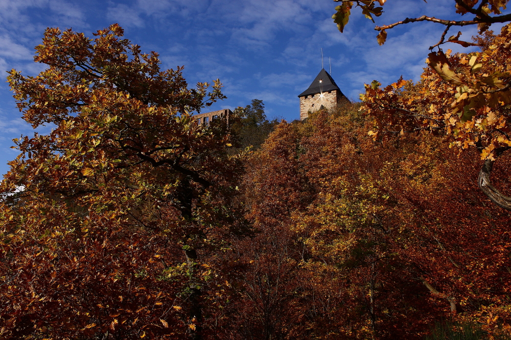 Unterhalb der Burg Nideggen