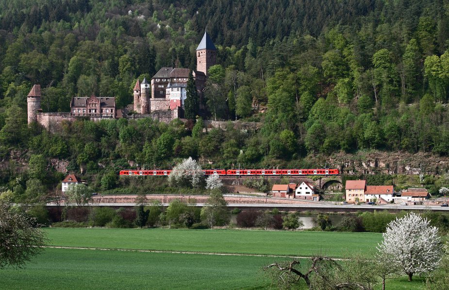 Unterhalb der Burg Zwingenberg