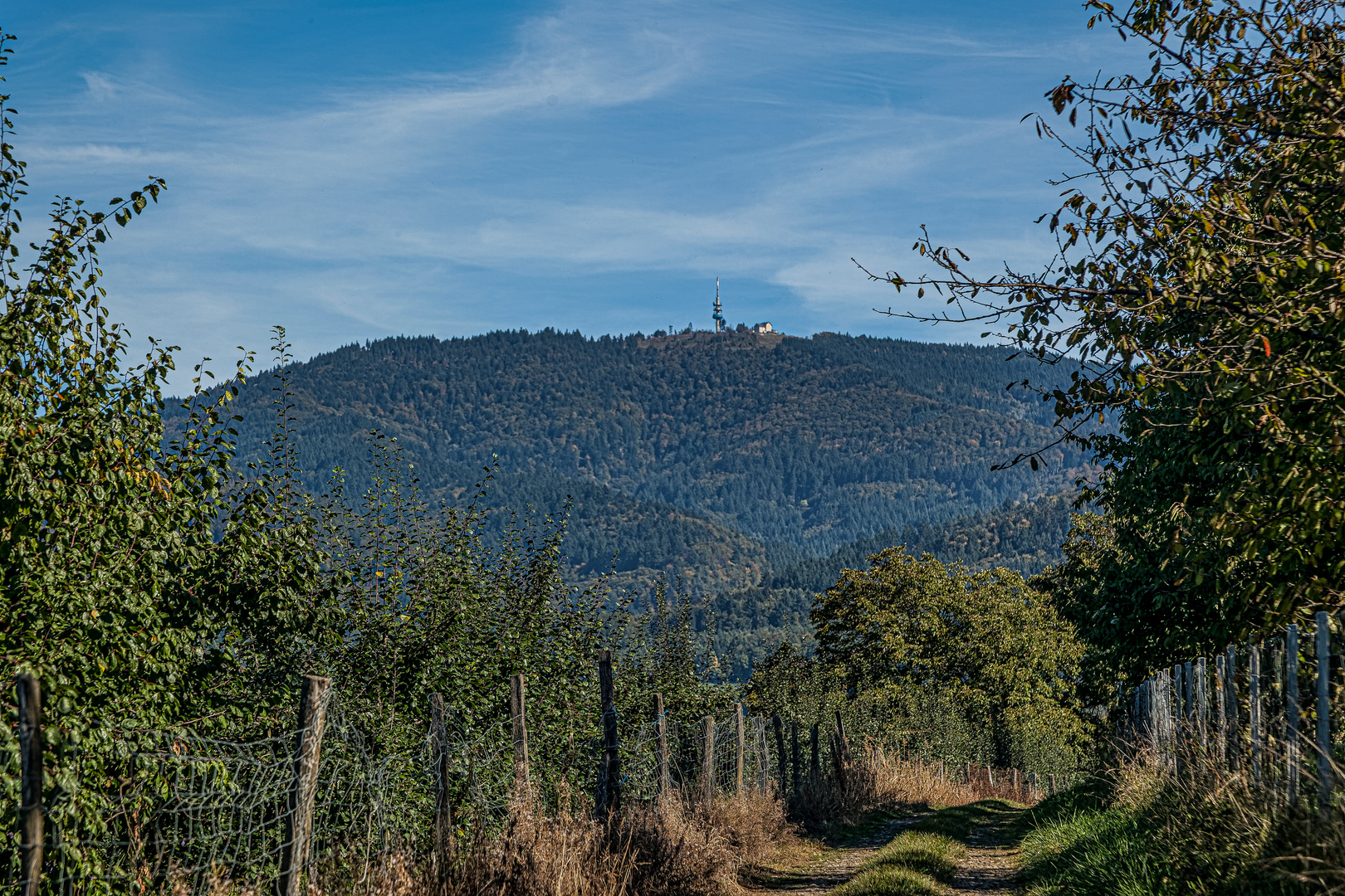 Unterhalb des Blauen