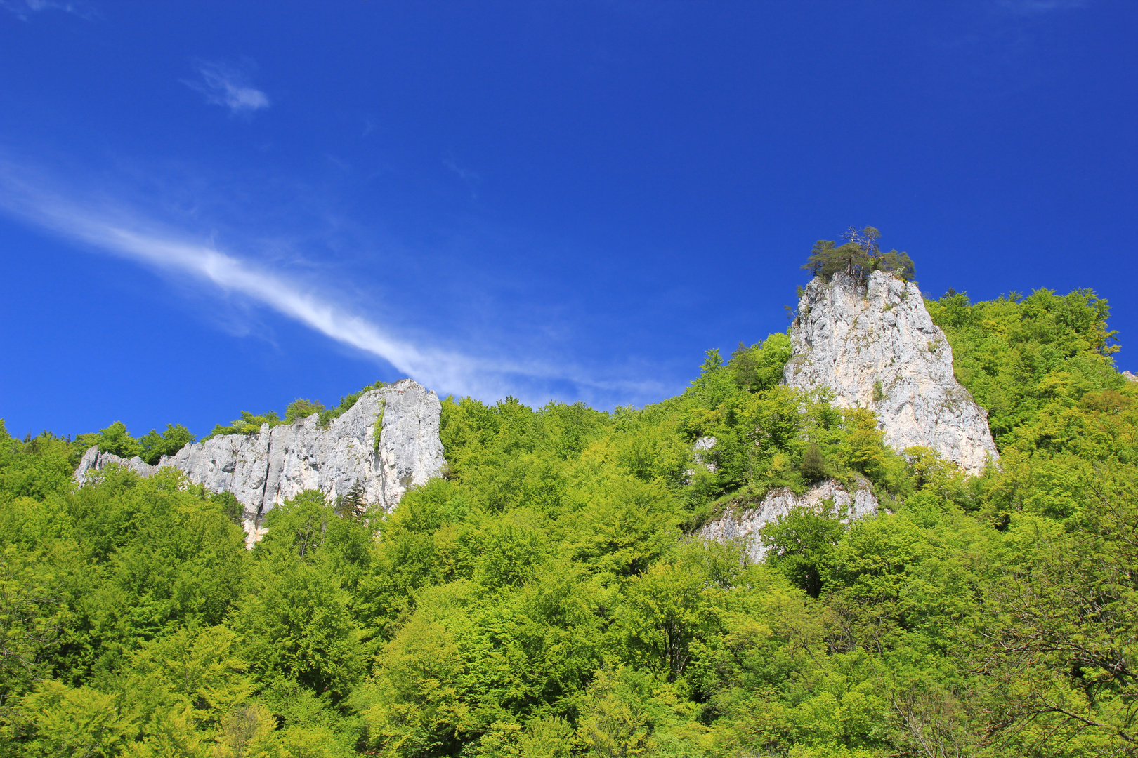 unterhalb Ruine Falkenstein (Unterfalkenstein)