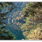 Unterhalb von der Zugspitze liegt der Eibsee 2