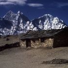 Unterkunft für Yaks vor dem Katenga (Nepal)