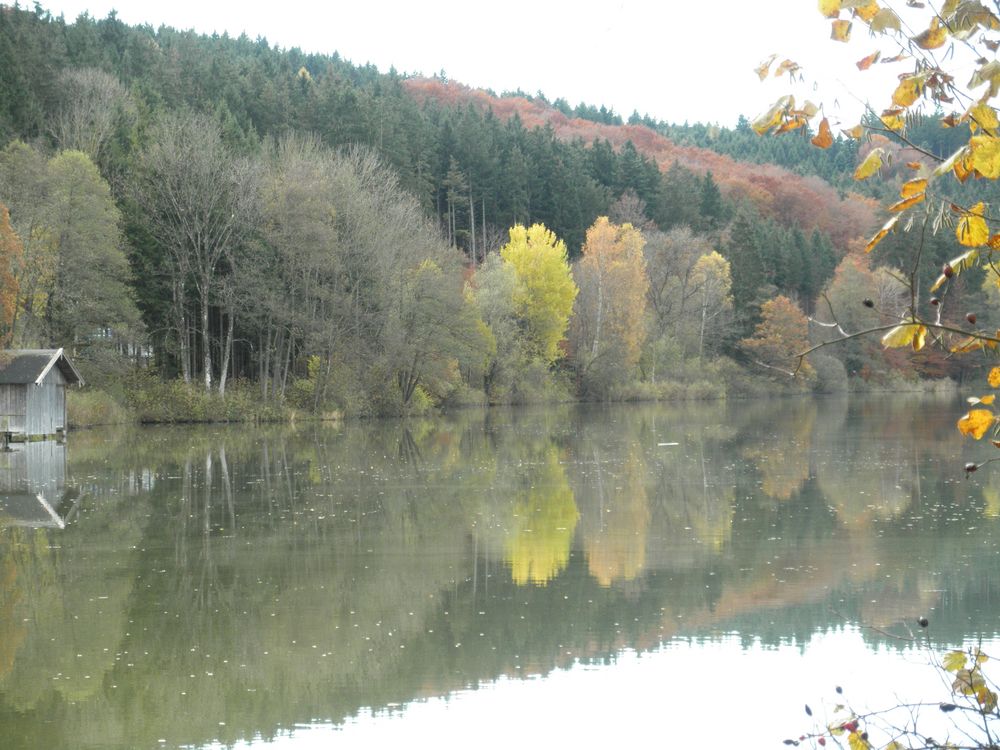 Unterlauser Weiher III von Irmtraud Roth