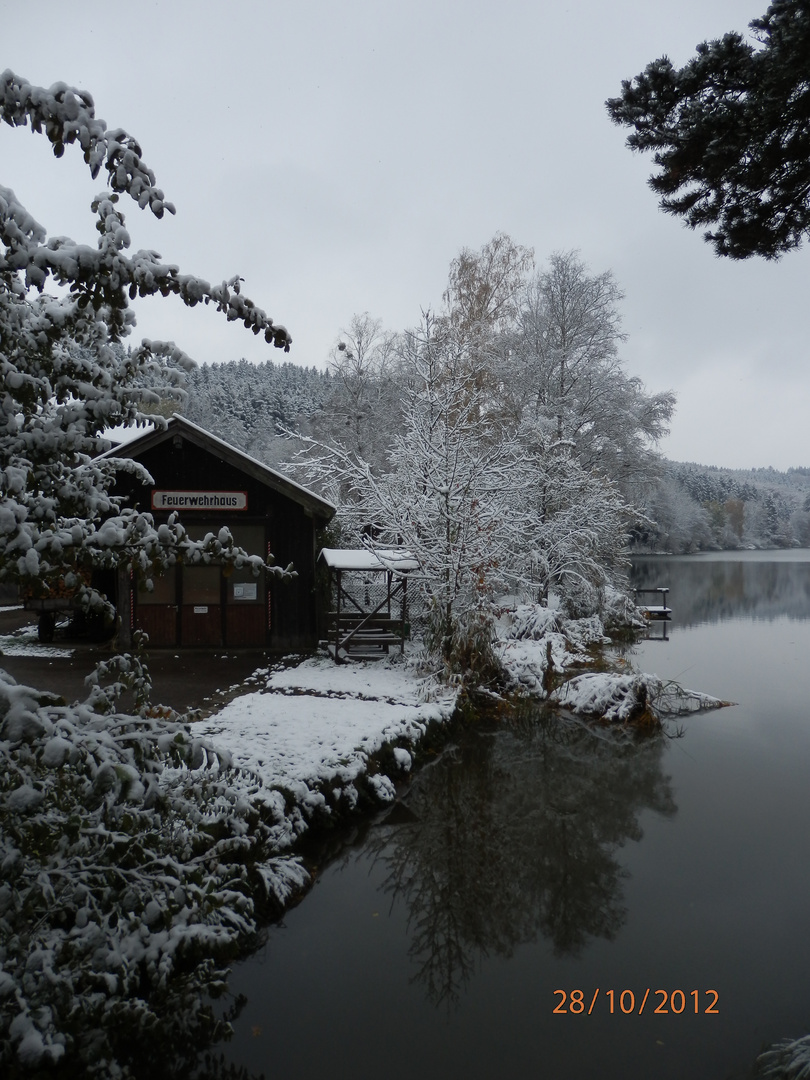 Unterlauser Weiher V