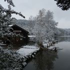 Unterlauser Weiher V