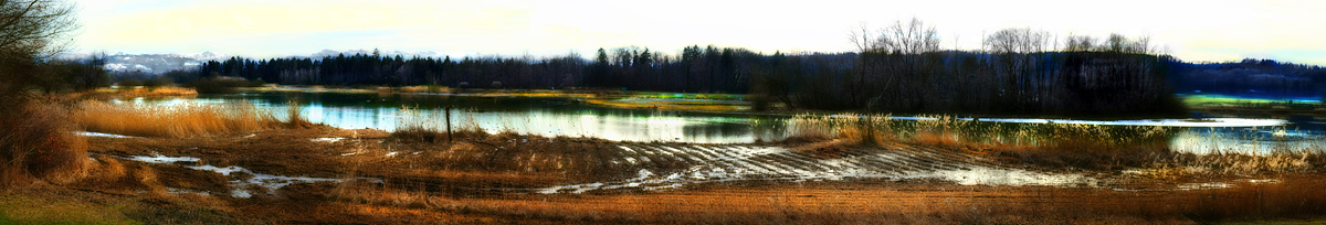 Unterlunkhofen Flachsee Reuss